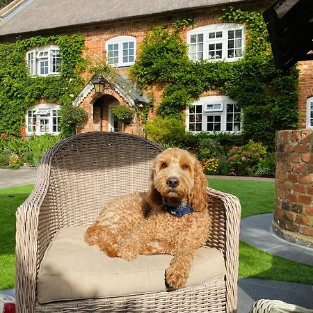 Little Woodside A Beautiful New Forest Self Contained Private Luxury Annexe New Milton Dış mekan fotoğraf