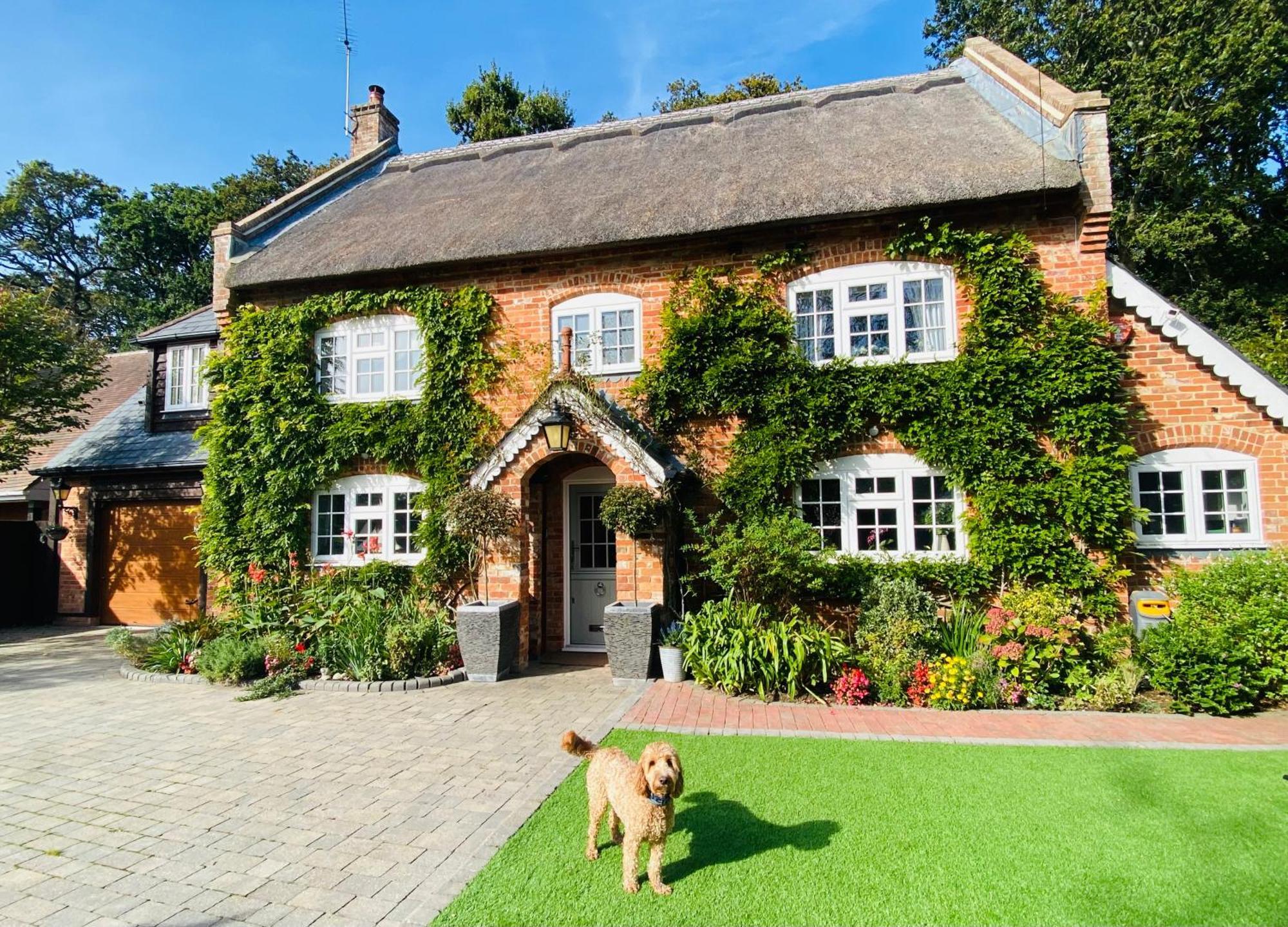 Little Woodside A Beautiful New Forest Self Contained Private Luxury Annexe New Milton Dış mekan fotoğraf