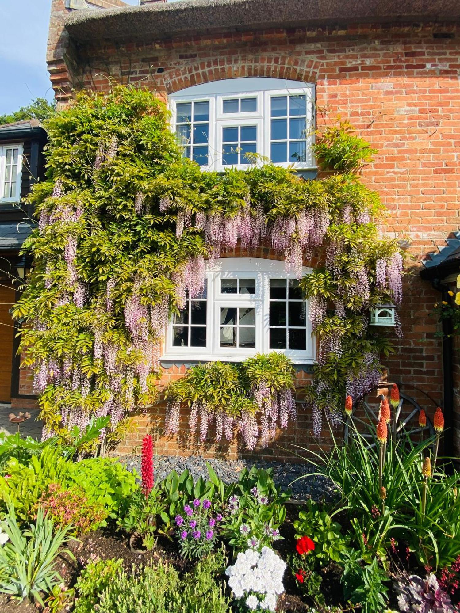 Little Woodside A Beautiful New Forest Self Contained Private Luxury Annexe New Milton Dış mekan fotoğraf