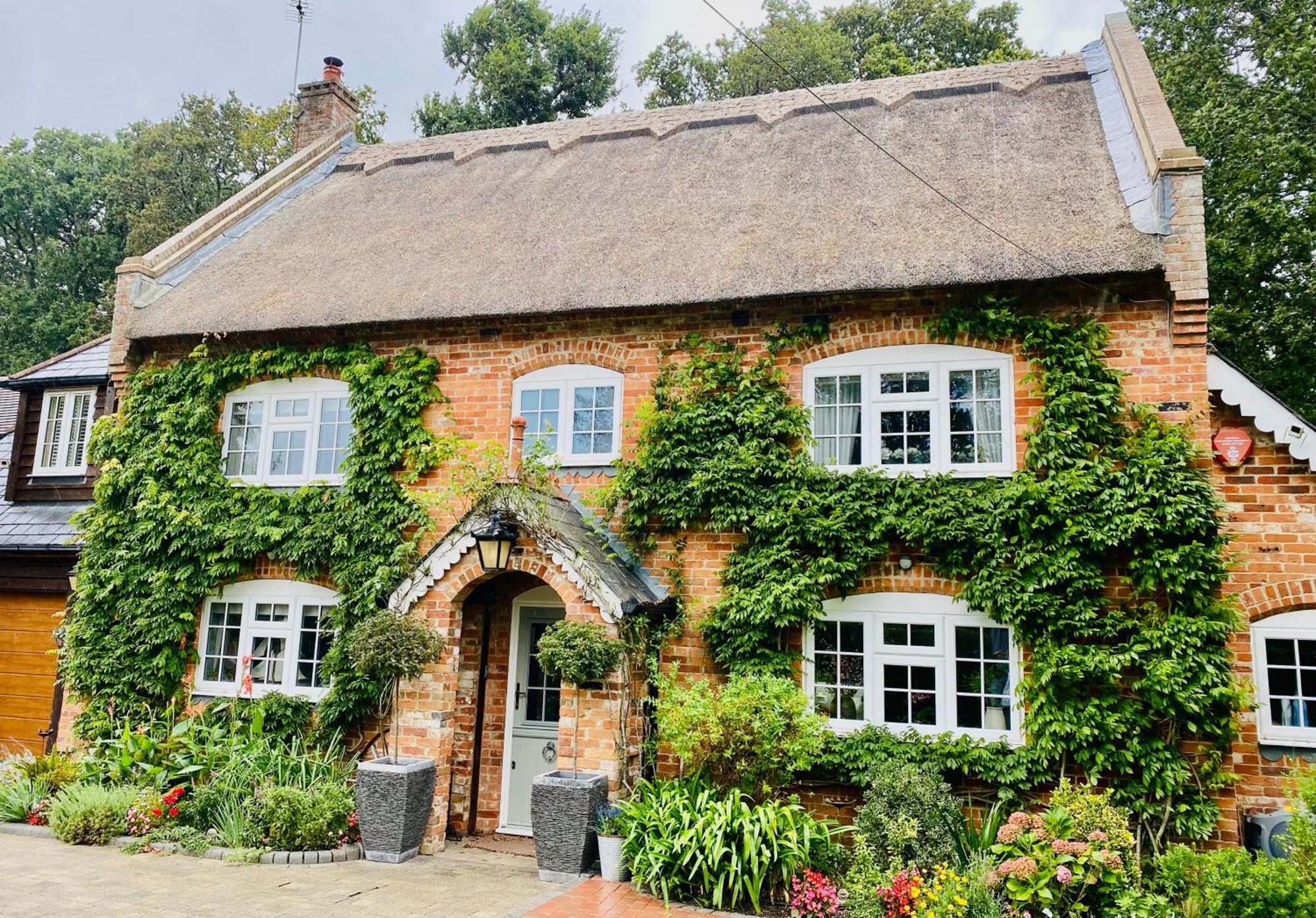 Little Woodside A Beautiful New Forest Self Contained Private Luxury Annexe New Milton Dış mekan fotoğraf
