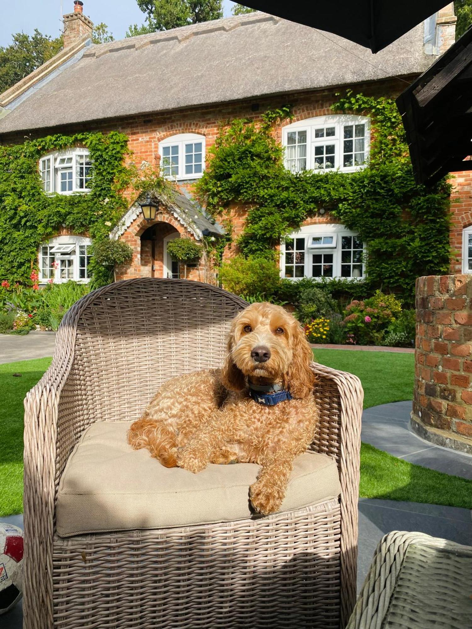 Little Woodside A Beautiful New Forest Self Contained Private Luxury Annexe New Milton Dış mekan fotoğraf