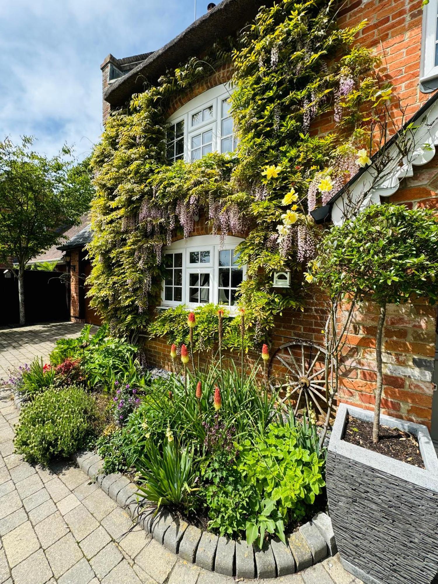 Little Woodside A Beautiful New Forest Self Contained Private Luxury Annexe New Milton Dış mekan fotoğraf