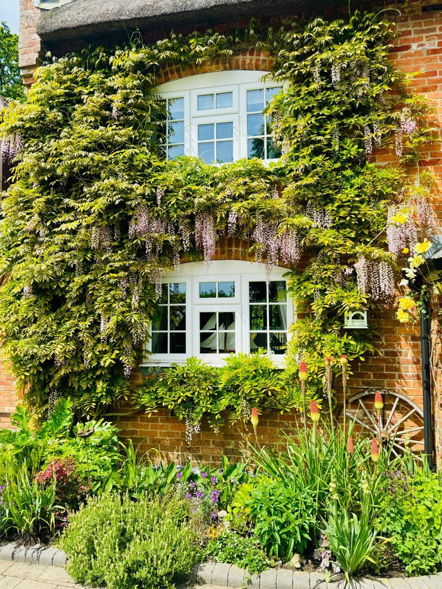 Little Woodside A Beautiful New Forest Self Contained Private Luxury Annexe New Milton Dış mekan fotoğraf